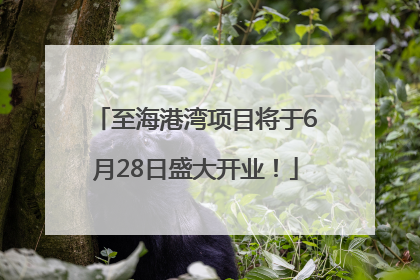 至海港湾项目将于6月28日盛大开业！
