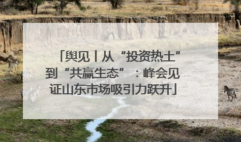 舆见丨从“投资热土”到“共赢生态”：峰会见证山东市场吸引力跃升