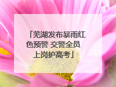 芜湖发布暴雨红色预警 交警全员上岗护高考