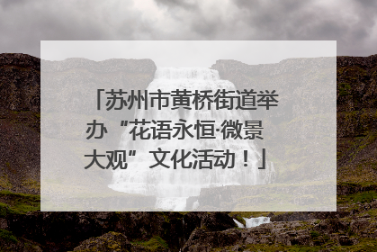 苏州市黄桥街道举办“花语永恒·微景大观”文化活动！