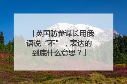 英国防参谋长用俄语说“不”，表达的到底什么意思？