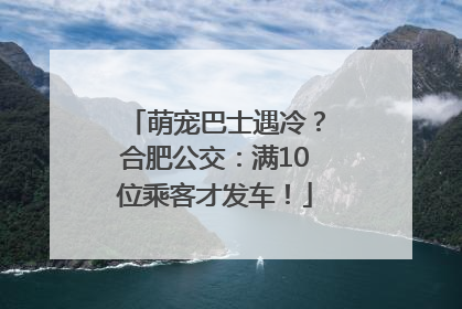 萌宠巴士遇冷？合肥公交：满10位乘客才发车！
