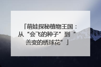 萌娃探秘植物王国：从“会飞的种子”到“善变的绣球花”