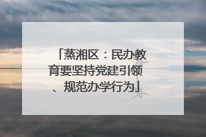 蒸湘区：民办教育要坚持党建引领、规范办学行为