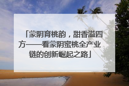 蒙阴育桃韵，甜香溢四方——看蒙阴蜜桃全产业链的创新崛起之路
