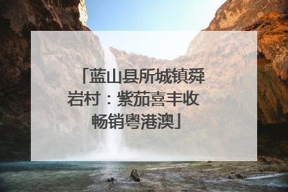 蓝山县所城镇舜岩村：紫茄喜丰收 畅销粤港澳