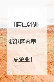 蔺佳调研新港区内重点企业