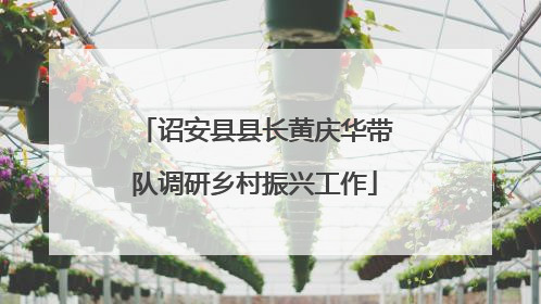 诏安县县长黄庆华带队调研乡村振兴工作