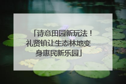 诗意田园新玩法！礼贤镇让生态林地变身惠民新乐园
