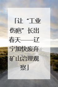 让“工业伤疤”长出春天——辽宁加快废弃矿山治理观察