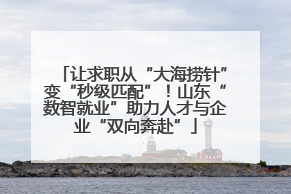 让求职从“大海捞针”变“秒级匹配”！山东“数智就业”助力人才与企业“双向奔赴”