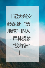 记大兴安岭深处“绣地球”的人：层林揽梦“绘绿洲”