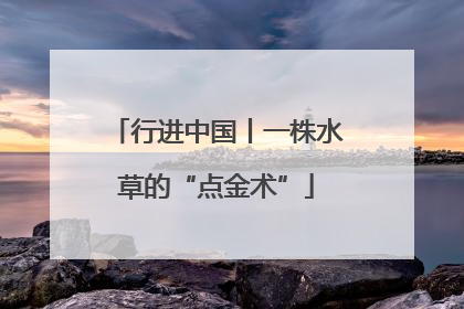 行进中国丨一株水草的“点金术”