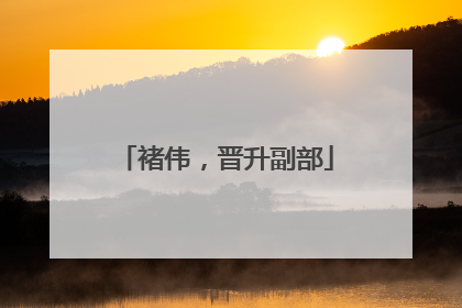 褚伟，晋升副部