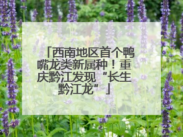 西南地区首个鸭嘴龙类新属种！重庆黔江发现“长生黔江龙”