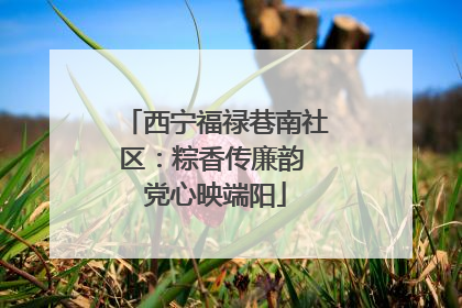 西宁福禄巷南社区：粽香传廉韵 党心映端阳