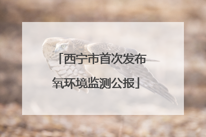 西宁市首次发布氧环境监测公报
