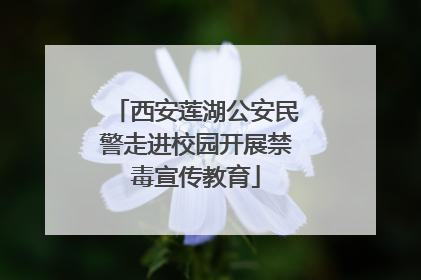 西安莲湖公安民警走进校园开展禁毒宣传教育