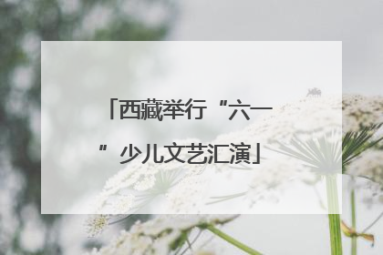 西藏举行“六一”少儿文艺汇演