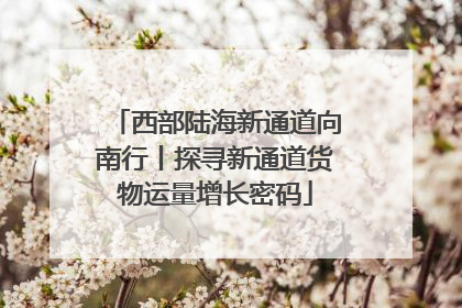 西部陆海新通道向南行丨探寻新通道货物运量增长密码