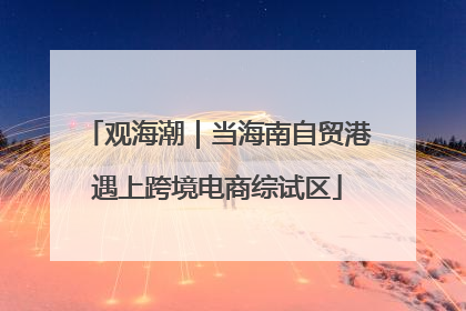 观海潮｜当海南自贸港遇上跨境电商综试区