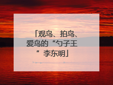 观鸟、拍鸟、爱鸟的“勺子王”李东明