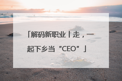 解码新职业丨走，一起下乡当“CEO”