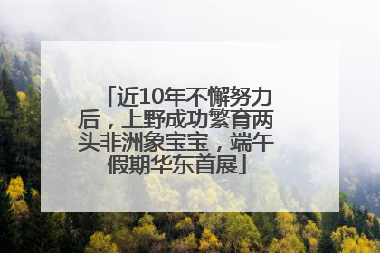 近10年不懈努力后，上野成功繁育两头非洲象宝宝，端午假期华东首展