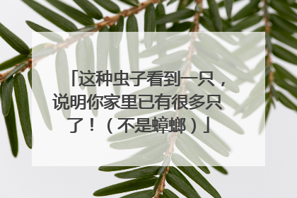 这种虫子看到一只，说明你家里已有很多只了！（不是蟑螂）