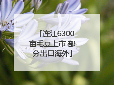 连江6300亩毛豆上市 部分出口海外