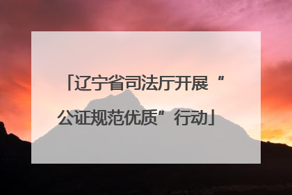 辽宁省司法厅开展“公证规范优质”行动