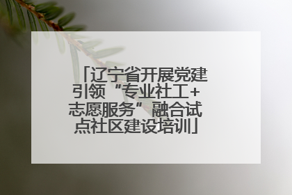 辽宁省开展党建引领“专业社工+志愿服务”融合试点社区建设培训