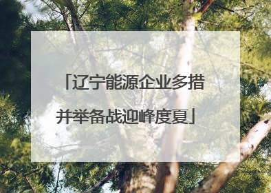 辽宁能源企业多措并举备战迎峰度夏