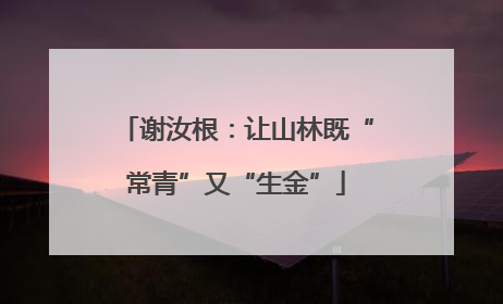 谢汝根：让山林既“常青”又“生金”