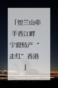 贺兰山牵手香江畔 宁夏特产“走红”香港