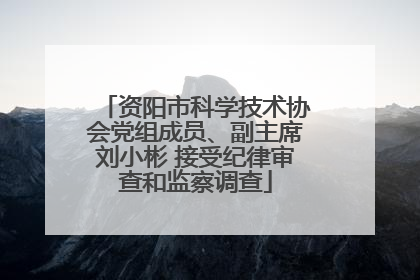 资阳市科学技术协会党组成员、副主席刘小彬 接受纪律审查和监察调查