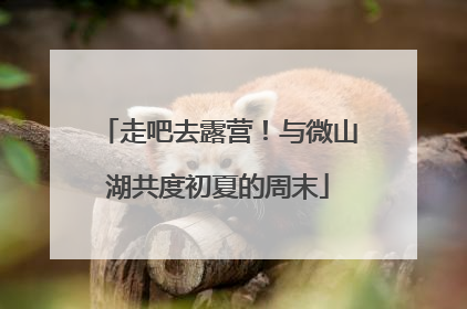 走吧去露营！与微山湖共度初夏的周末
