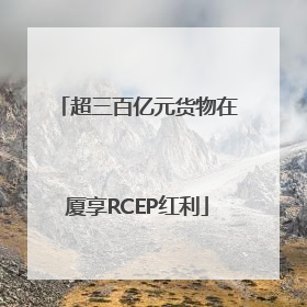 超三百亿元货物在厦享RCEP红利