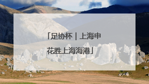 足协杯｜上海申花胜上海海港