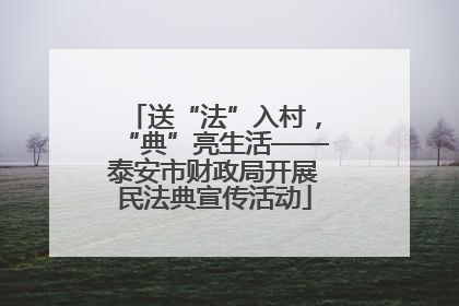 送“法”入村，“典”亮生活——泰安市财政局开展民法典宣传活动