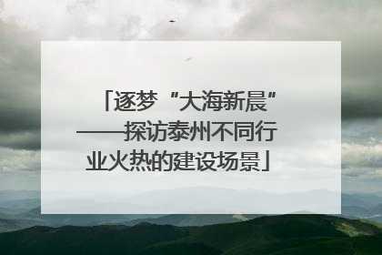 逐梦“大海新晨”——探访泰州不同行业火热的建设场景