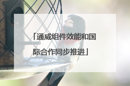 通威组件效能和国际合作同步推进