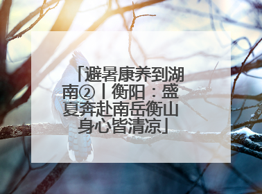 避暑康养到湖南②丨衡阳：盛夏奔赴南岳衡山 身心皆清凉