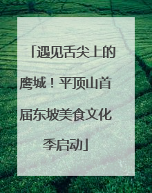遇见舌尖上的鹰城！平顶山首届东坡美食文化季启动