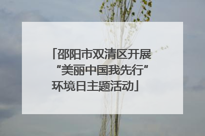 邵阳市双清区开展“美丽中国我先行”环境日主题活动