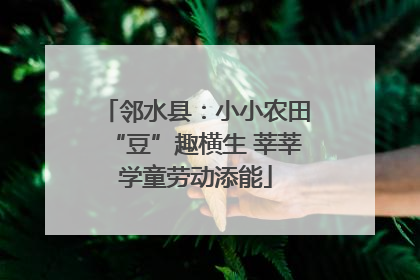 邻水县：小小农田“豆”趣横生 莘莘学童劳动添能
