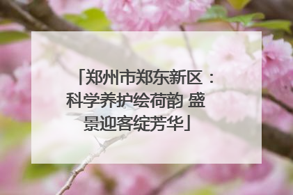 郑州市郑东新区：科学养护绘荷韵 盛景迎客绽芳华