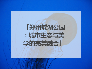 郑州蝶湖公园：城市生态与美学的完美融合