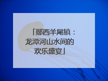 郧西羊尾镇：龙潭河山水间的欢乐盛宴