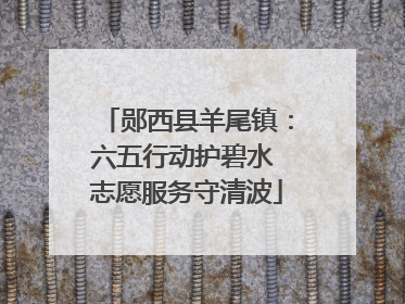 郧西县羊尾镇：六五行动护碧水 志愿服务守清波